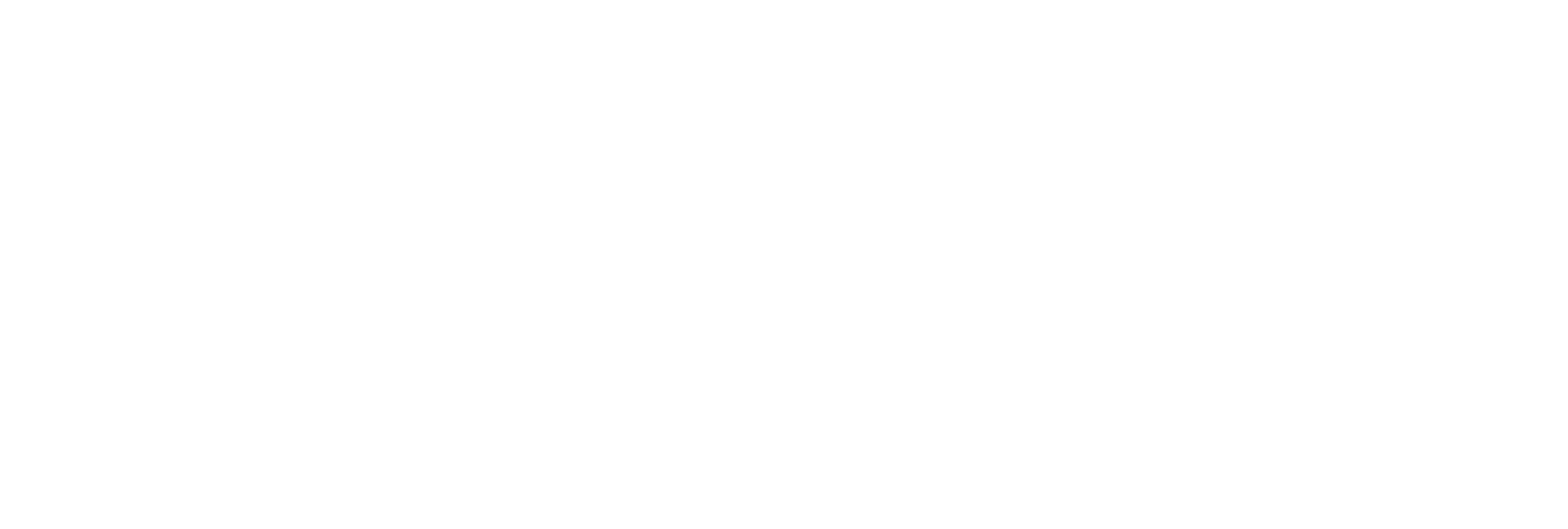 Logo Costa BRN